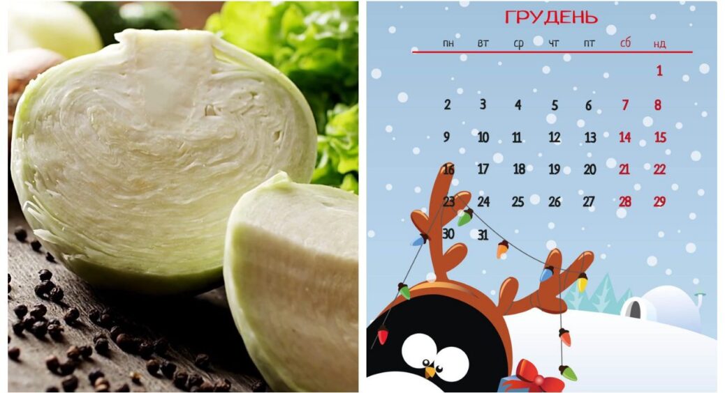 Готуюся засолити 2 партію капусти, бо 1 вже — на дні: записуйте найкращі дні за місячним календарем у грудні 