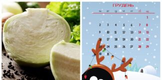 Господині назвали дні для вдалого засолу капусти у грудні