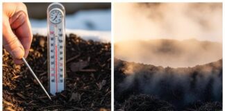 Городники розповіли, як правильно утримувати компост взимку