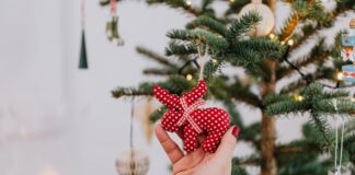 Експерти розповіли, як подовжити життя новорічній ялинці