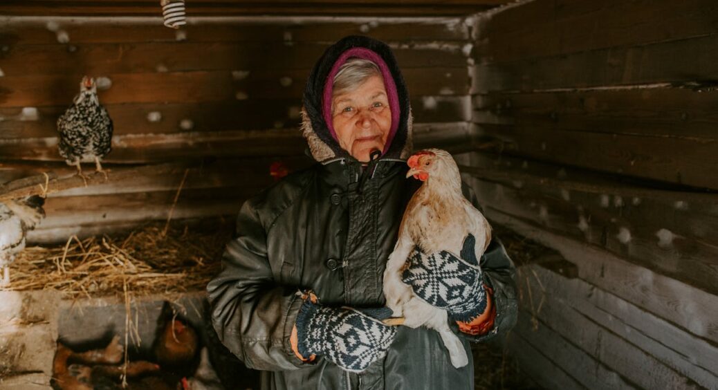 Курник гріється за 1 годину: старий спосіб, про який мало хто знає, а родичі в селі роблять так пів століття 