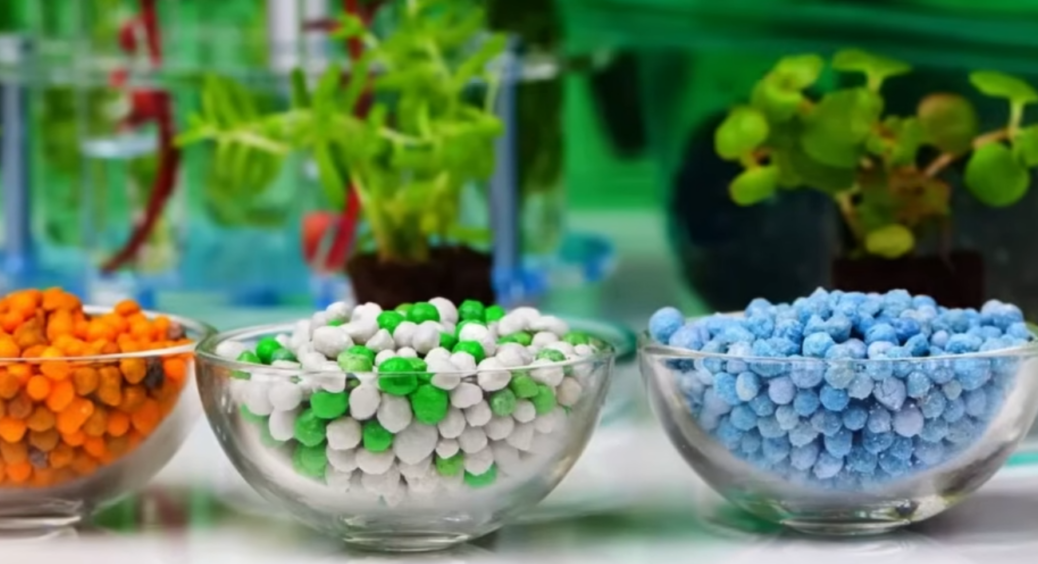 Секрети зимового зберігання агрохімії: так ви зекономите від 1000 гривень і вбережете майбутній врожай 