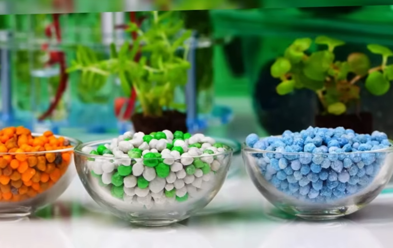 Експерти розповіли, як зберігати агрохімію взимку