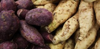 Городники розповіли, як вирощувати на городі батат