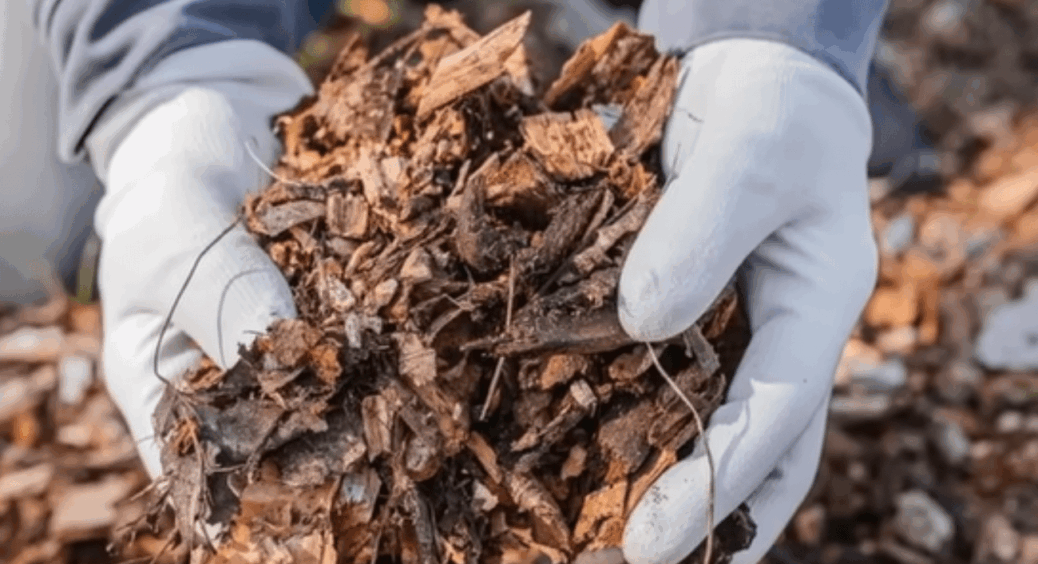 У мене мульча така ефективна, що я сама дивуюся: без хімії, без зайвих рухів, а результат — як з підручника 