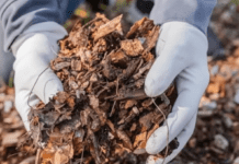 У мене мульча така ефективна, що я сама дивуюся: без хімії, без зайвих рухів, а результат — як з підручника Городники порадили, як створити ідеальну мульчу