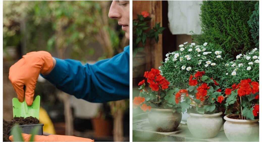 Кожен, хто купував “збагачений ґрунт”, зрозуміє мене: 1 засіб зробив так, що мошки зникли, ніби їх і не було 