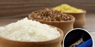 Як позбутись від молі вдома