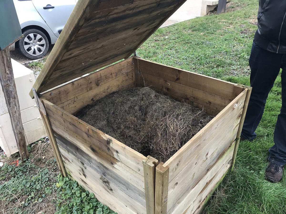 Експерти розповіли, як пришвидшити дозрівання компосту за допомогою простого продукту