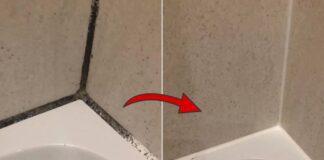 Як позбутись від плісняви у ванній кімнаті швидко