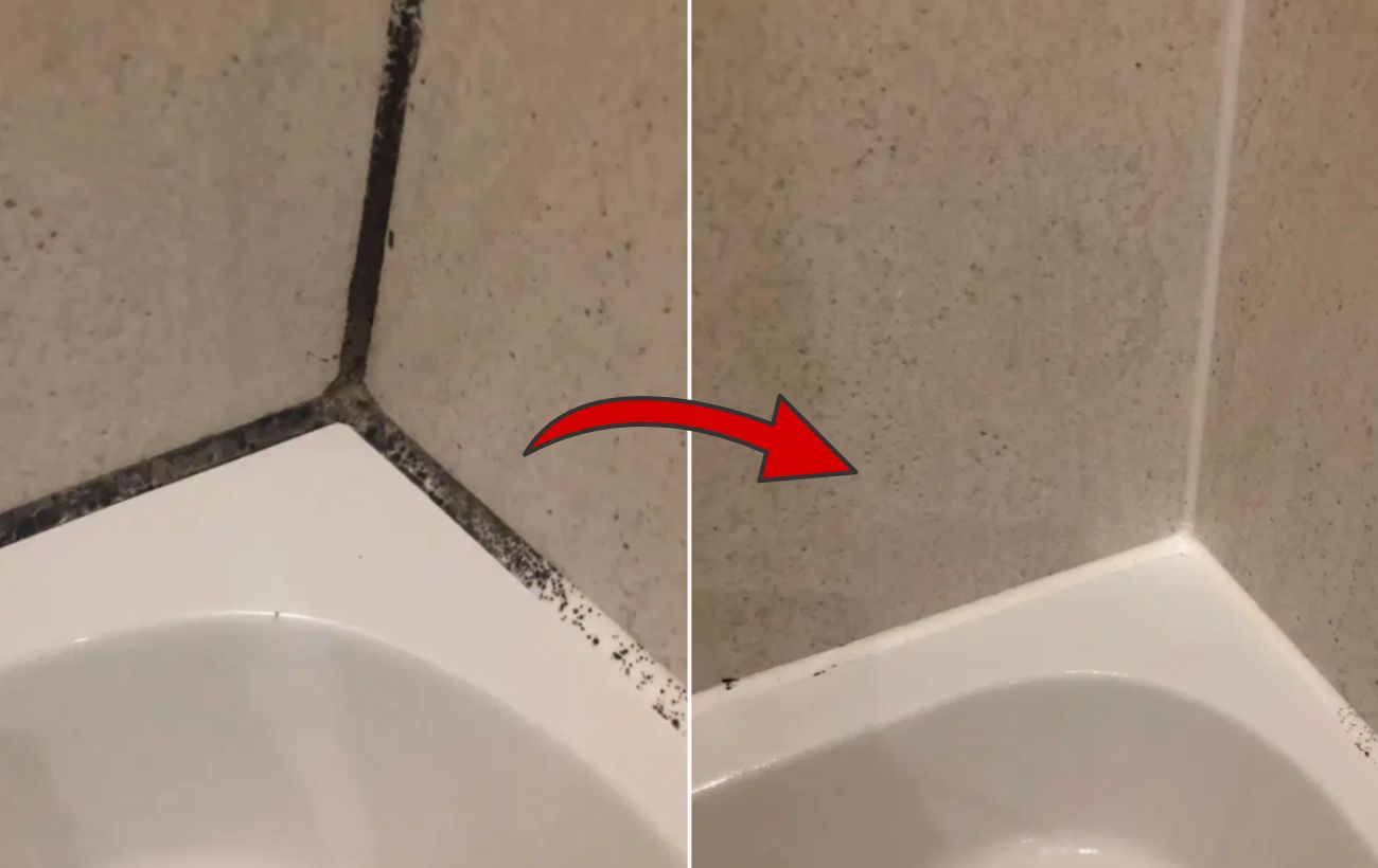 Як позбутись від плісняви у ванній кімнаті швидко