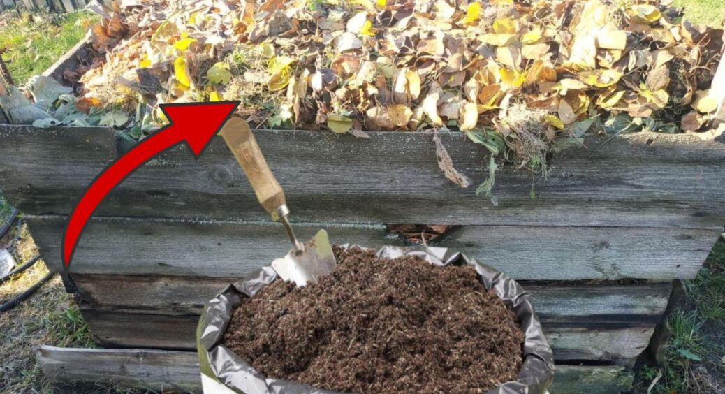 Компост “визріває” у 2 рази швидше, якщо в морози додати 1 кухонний інгредієнт: перевіряла 3 роки поспіль 