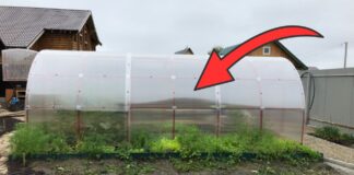 Як обігріти теплицю простим лайфхаком