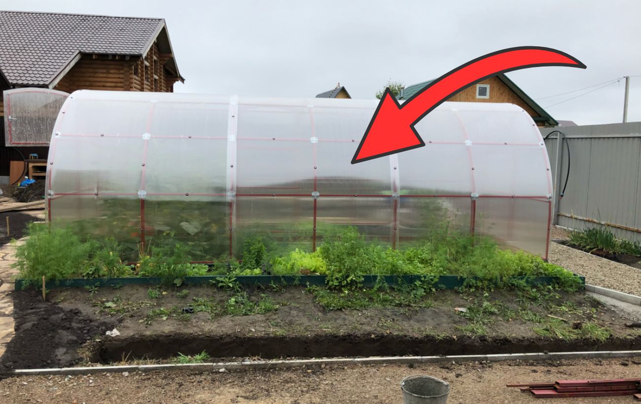 Як обігріти теплицю простим лайфхаком