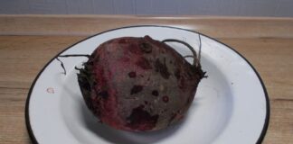 Як варити буряк без втрати кольору