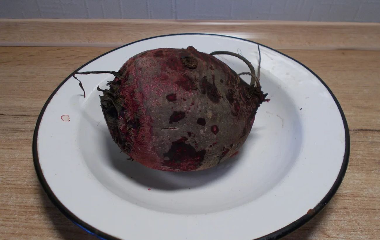 Як варити буряк без втрати кольору