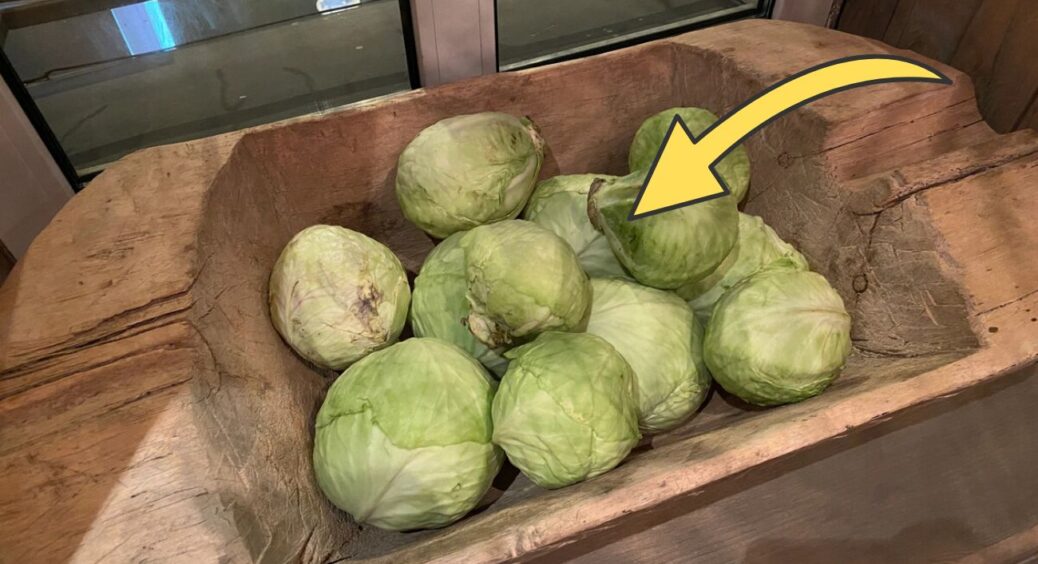 Капуста у льосі не чорніє і не в’яне, якщо поставити поруч 1 баночку: підказала кума, дачниця “старої школи” 