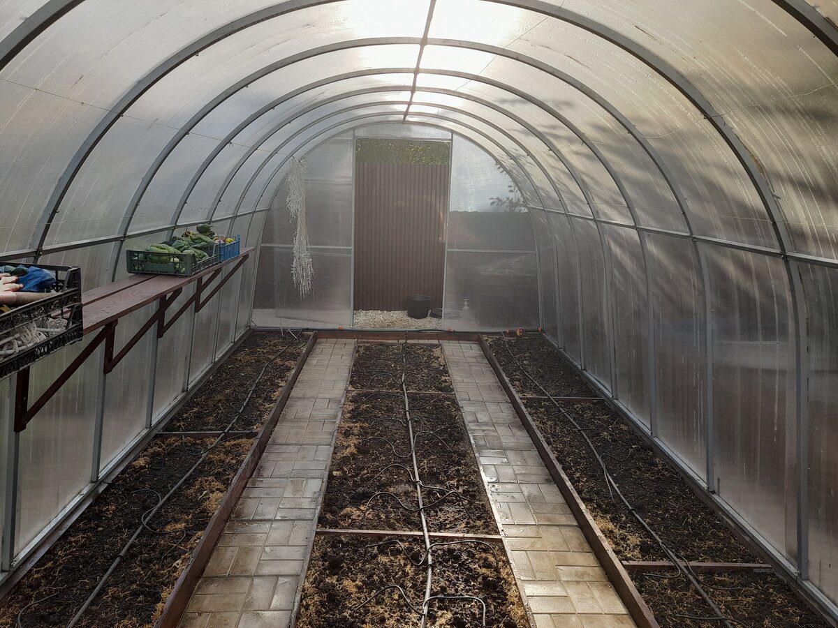 Експерти поділились простим способом, який допоможе обігріти теплицю в зимовий період