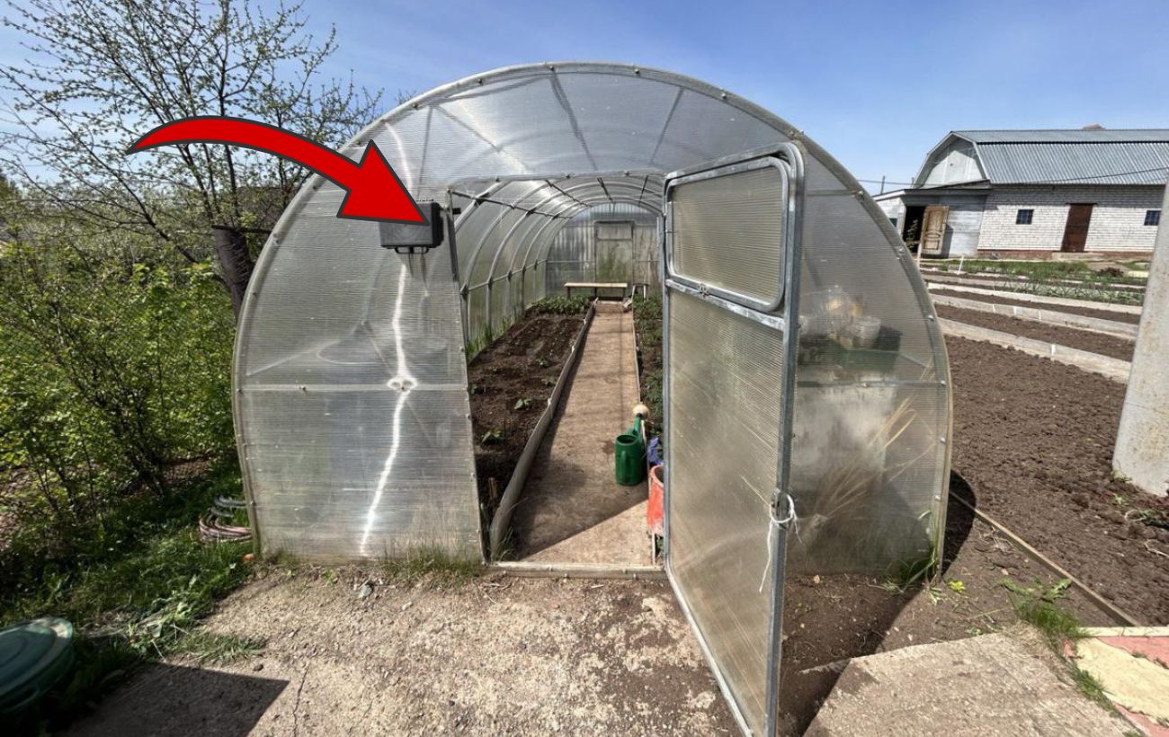 Як обробити теплицю від бактерій і хвороб