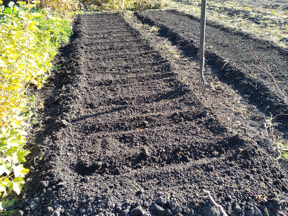 Експерти порадили, що розкидати по ґрунту взимку, аби навесні ділянка стала пухкою і родючою