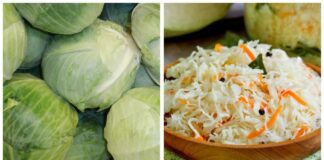 Експерти сказали, на що звертати увагу під час купівлі капусти 