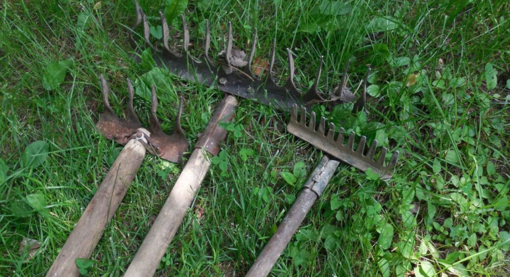 Інвентар на городі не іржавіє взимку: перед зберіганням роблю 1 дію – і всі граблі, лопати та сапки в ідеалі 
