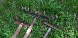 Як зберігати садовий інвентар