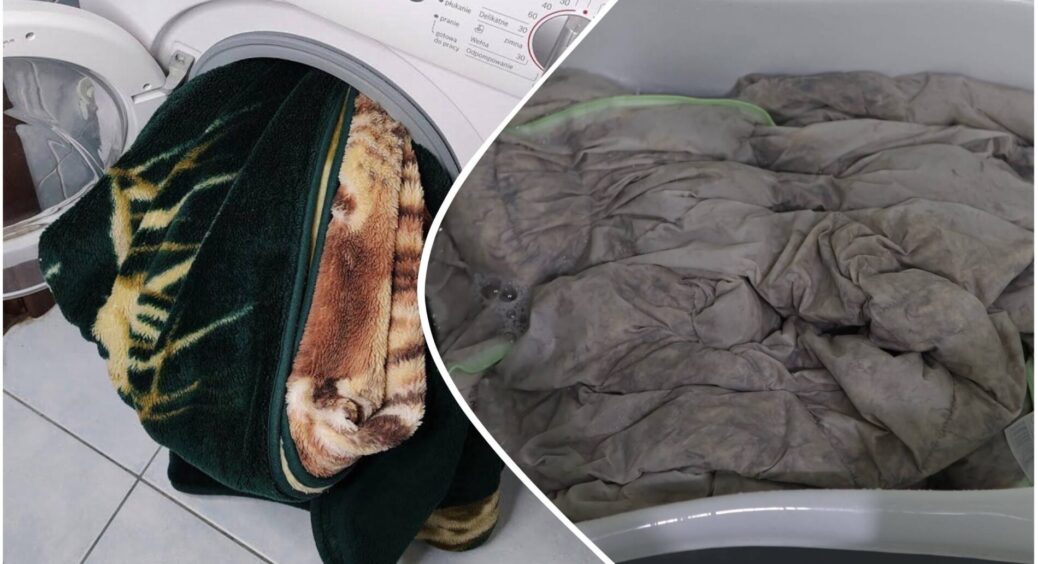 Ніколи не “пхаю” теплу ковдру у пралку, якщо не хочу потім викинути: але 1 способом чищу її регулярно 