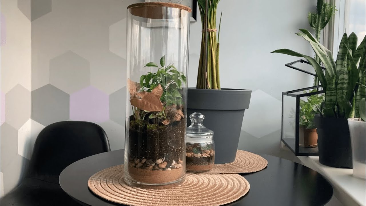 Квітникарі розповіли, які ємності чудово підходять для вирощування рослин вдома