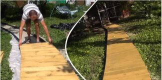 Дачники назвали найпростіший спосіб зробити садову доріжку без бетону та плитки