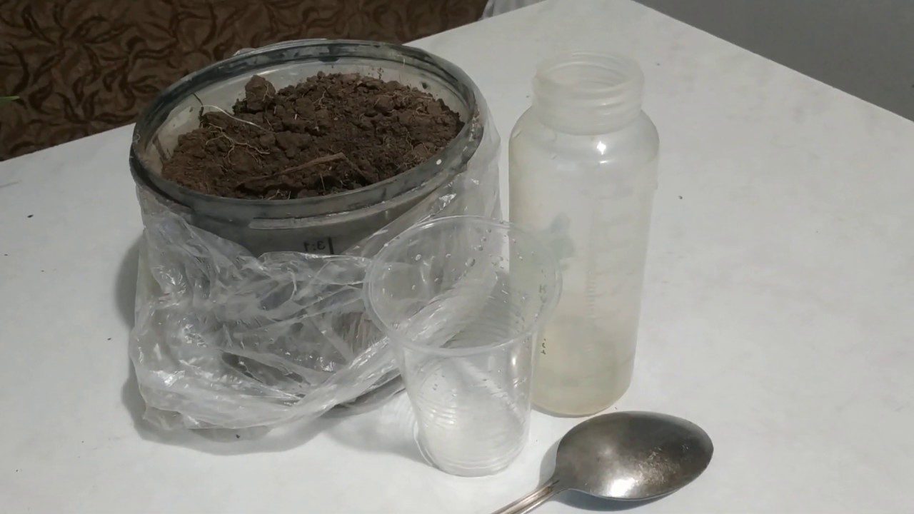 Агрономи назвали простий метод, який визначить кислотність ґрунту на ділянці