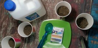 Агрономи назвали простий метод, який визначить кислотність ґрунту на ділянці