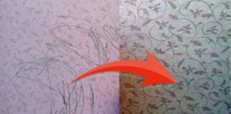 Господині розповіли, як відмити шпалери в будинку всього за 5 хвилин