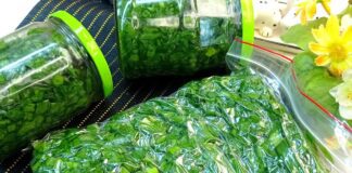 Господині розповіли, як правильно заморозити зелену цибулю на зиму