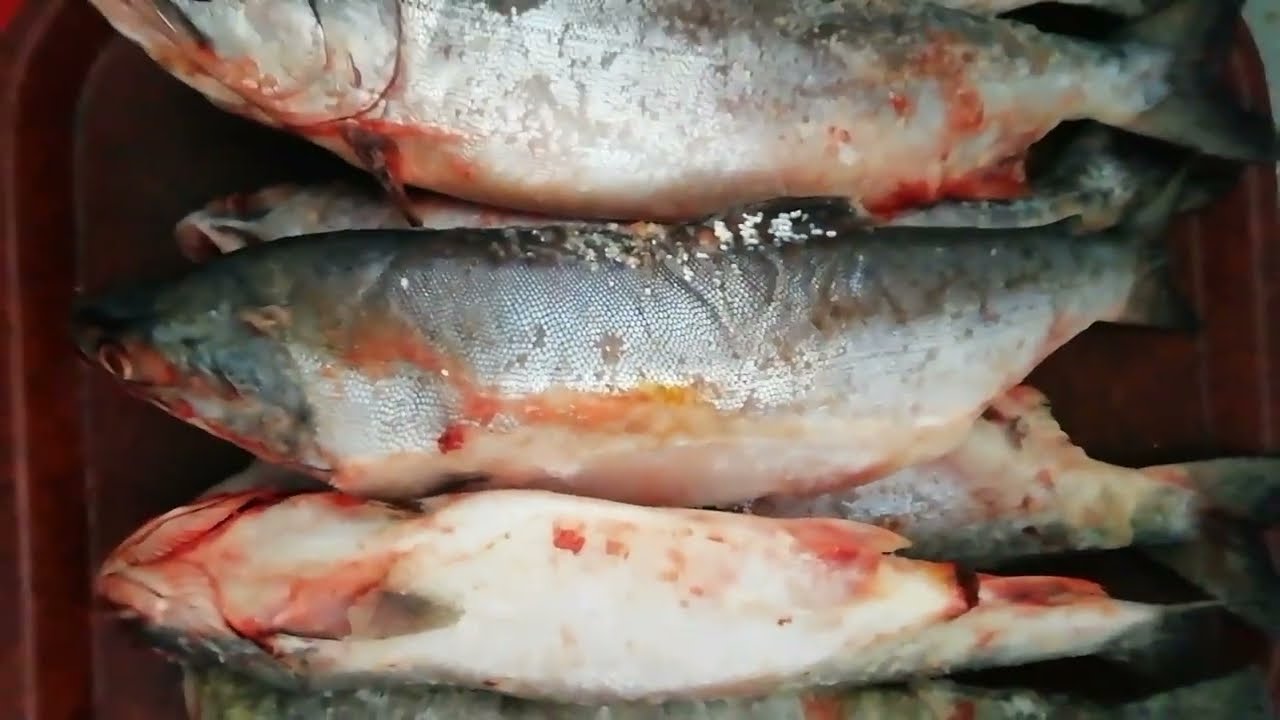 Господині поділилися секретами, які допоможуть правильно вибрати горбушу з ікрою