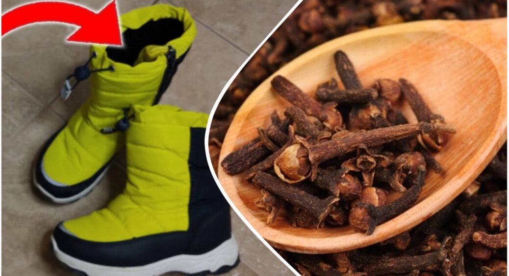 Взимку завжди кладу 5-6 сухих гвоздик у черевики – ноги не пахнуть потом весь робочий день: метод від бабусі 