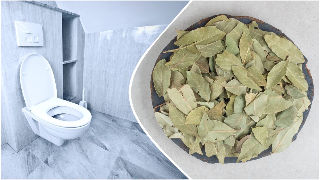 Господині розповіли, як застосовувати лавровий лист, щоб туалет пахнув свіжістю