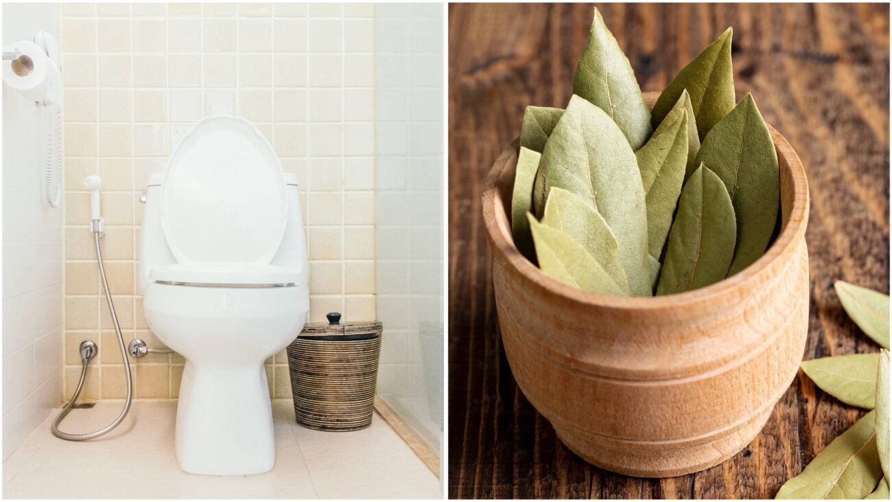 Господині розповіли, як застосовувати лавровий лист, щоб туалет пахнув свіжістю