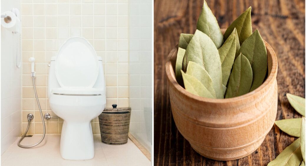 Щойно приходжу з магазину – кладу 3 лаврових листки у бачок унітаза: знала б раніше, нормально б зекономила 