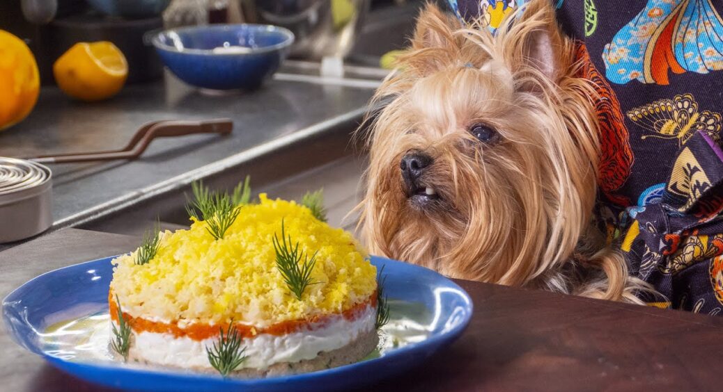 Чому я раніше не пробувала цю смакоту?! ПП-салат на Новий рік 2026 оцінять і ті, хто не слідкує за фігурою 