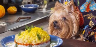 Шеф-кухарі розповіли, як приготувати дієтичний салат Мімоза на Новий рік