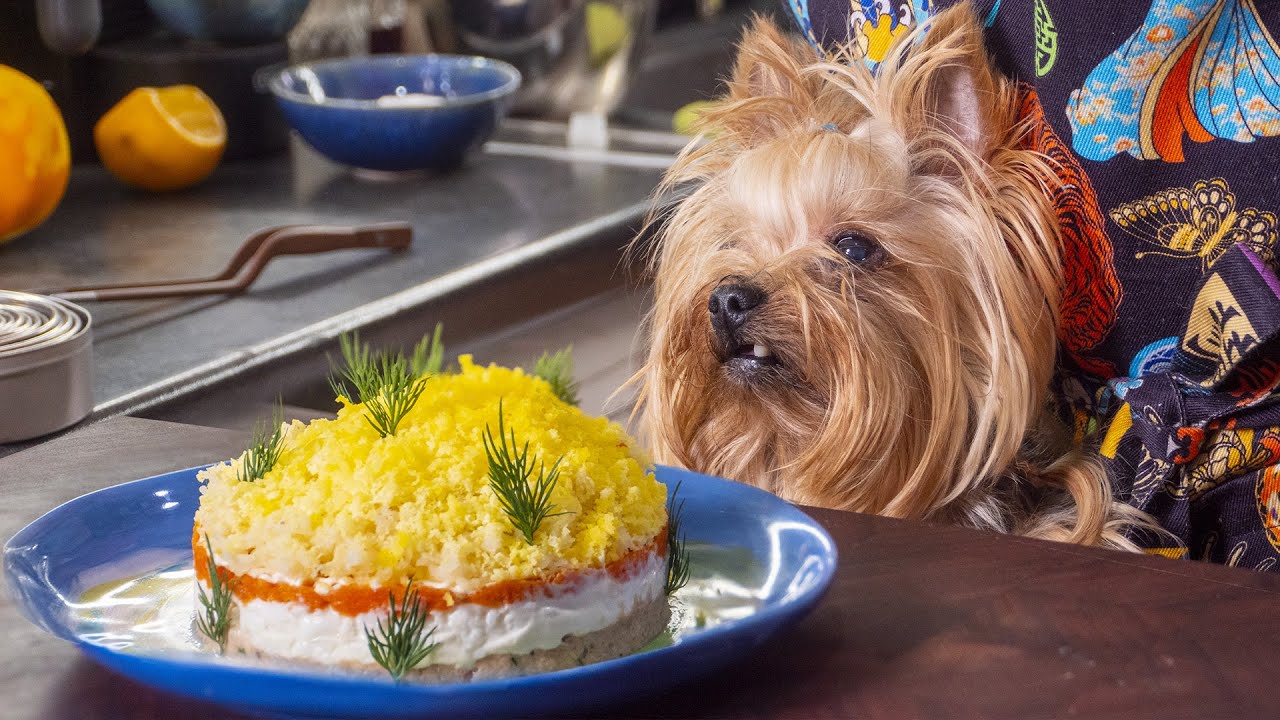 Шеф-кухарі розповіли, як приготувати дієтичний салат Мімоза на Новий рік