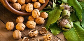 Агрономи розповіли, як із користю використовувати шкаралупу горіхів на городі