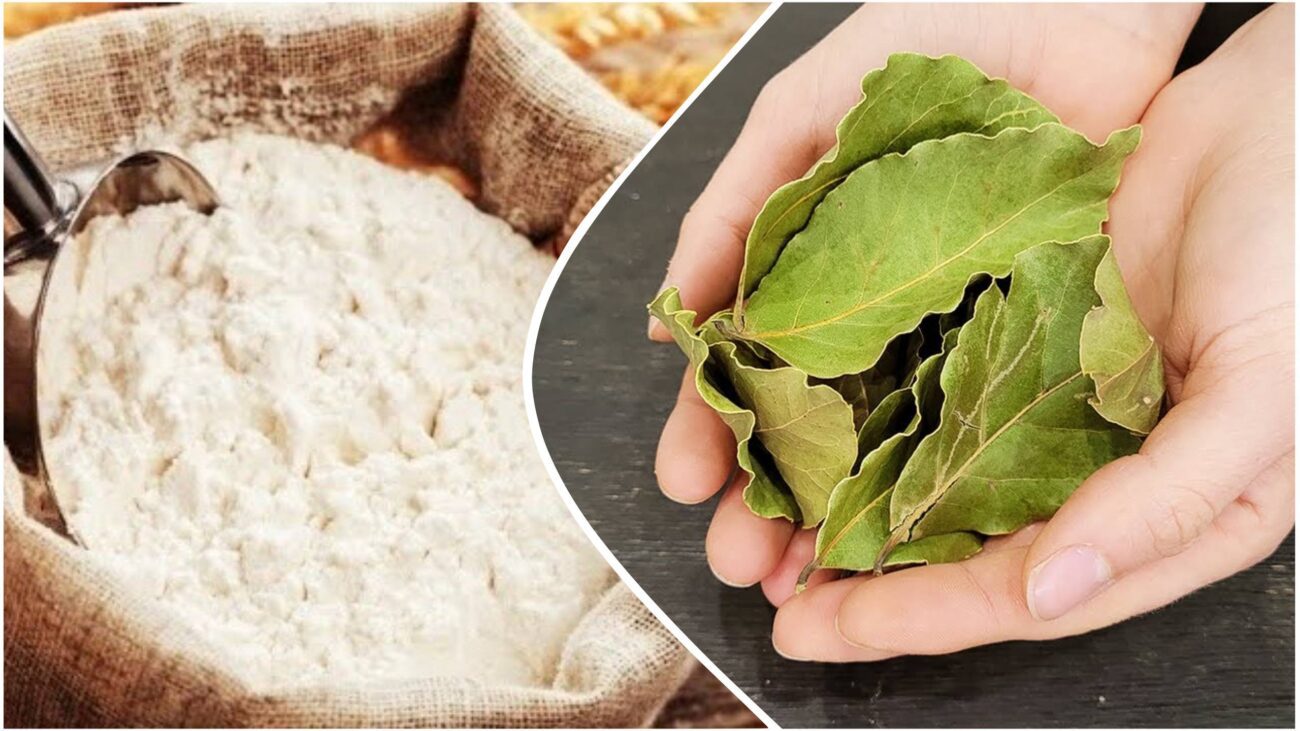 Господині розповіли, як лавровий лист допоможе захистити борошно від жучків