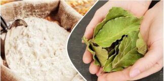 Господині розповіли, як лавровий лист допоможе захистити борошно від жучків