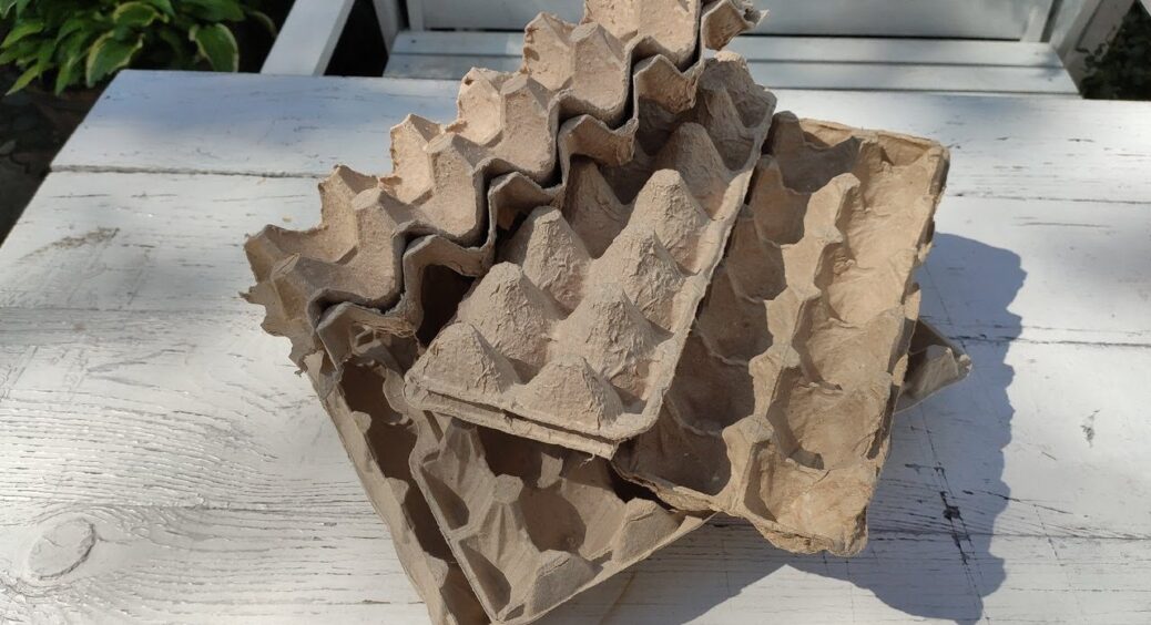 Досить викидати лотки від яєць: вони заощаджують дачникам до 2000 грн – зробіть грядки “на халяву” 