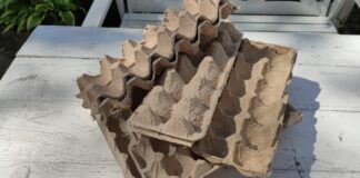 Садівники розповіли, як яєчний лоток замінює дорогі матеріали на грядках