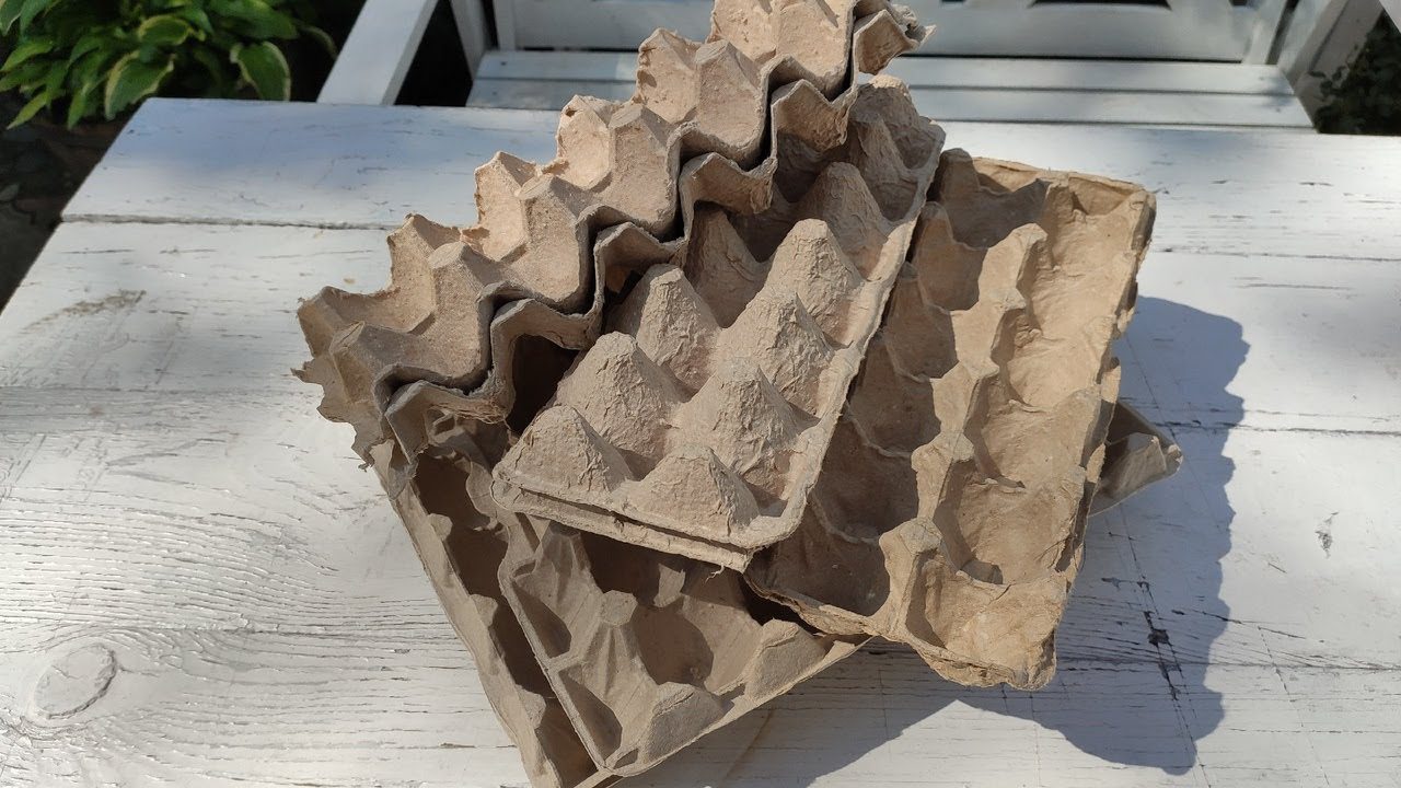 Садівники розповіли, як яєчний лоток замінює дорогі матеріали на грядках