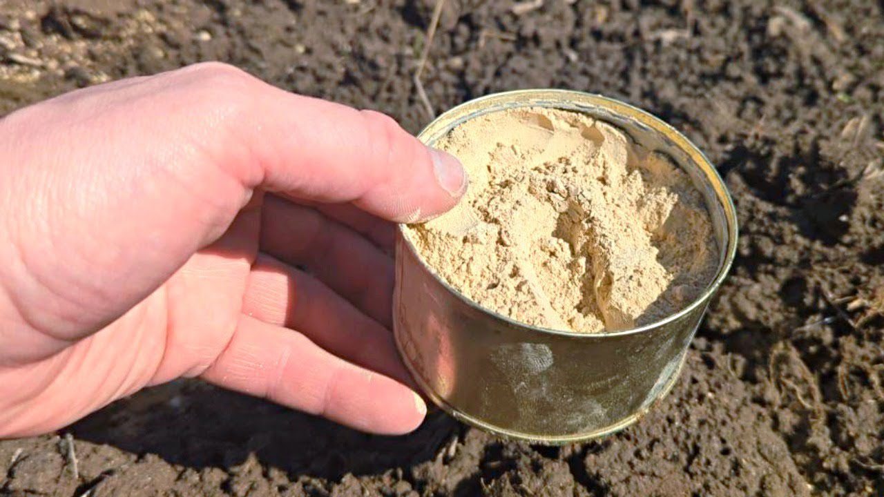 Агрономи розповіли, як розсипана крупа на сніг покращує родючість ґрунту навесні