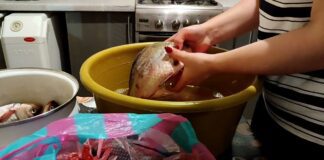 Господині розповіли, як легко й швидко почистити рибу і не відмивати потім луску